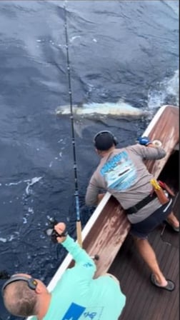 Fishing in Galveston, Texas