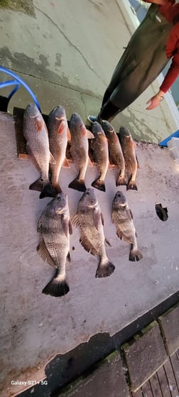 Fishing in Galveston, Texas