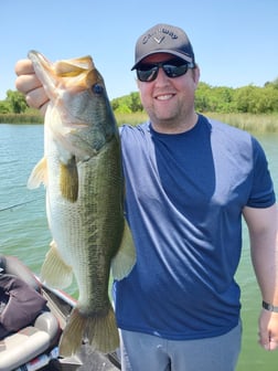 Largemouth Bass fishing in Austin, Texas