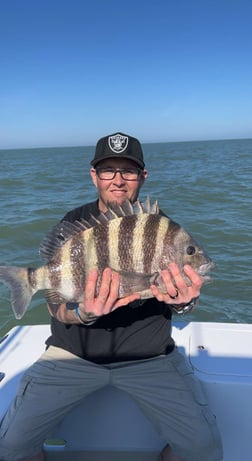 Sheepshead Fishing in Hilton Head Island, South Carolina