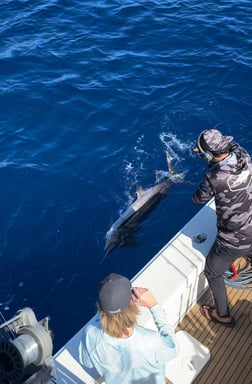 Fishing in San Juan, Puerto Rico