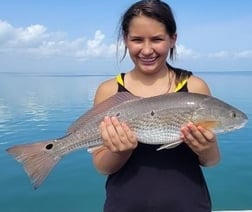 Black Drum, Redfish Fishing in Port Isabel, Texas