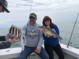 Redfish, Sheepshead Fishing in Hilton Head Island, South Carolina