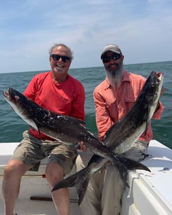 Cobia fishing in Virginia Beach, Virginia