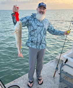 Black Drum, Speckled Trout / Spotted Seatrout fishing in Port Isabel, Texas