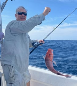 Almaco Jack, Cobia, Perch, Red Grouper, Vermillion Snapper Fishing in Destin, Florida