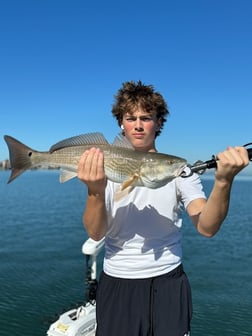 Fishing in Sarasota, Florida