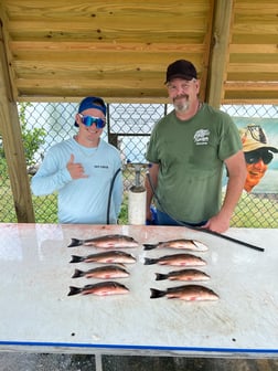 Redfish fishing in Holmes Beach, Florida