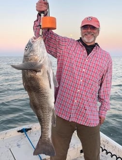 Black Drum Fishing in Galveston, Texas