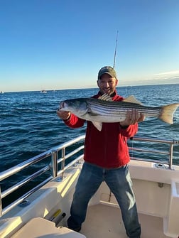 Striped Bass Fishing in Montauk, New York