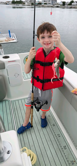 Fishing in Stone Harbor, New Jersey