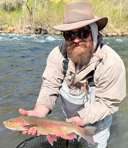 Rainbow Trout Fishing in Stockton, California