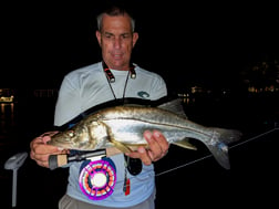 Snook Fishing in Jupiter, Florida