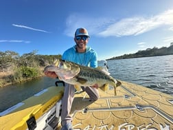 Fishing in Miami, Florida