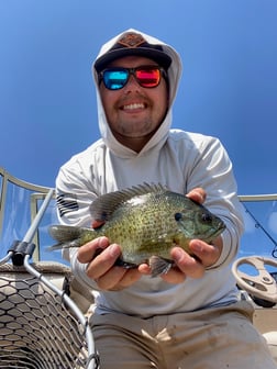 Crappie fishing in Hubbard, Iowa