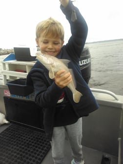 Redfish Fishing in Jacksonville, Florida