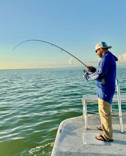 Fishing in South Padre Island, Texas