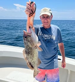 Gag Grouper fishing in Panama City, Florida