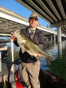 Fishing in Austin, Texas