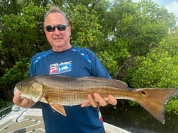 Fishing in Tampa, Florida