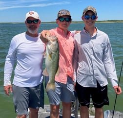 Largemouth Bass fishing in Zapata, Texas