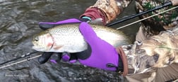 Fishing in Broken Bow, Oklahoma