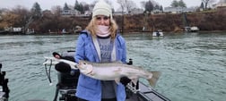 Chinook Salmon Fishing in Lewiston, New York