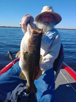 Largemouth Bass Fishing in Kissimmee, Florida