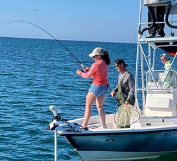 Little Tunny / False Albacore Fishing in Sarasota, Florida