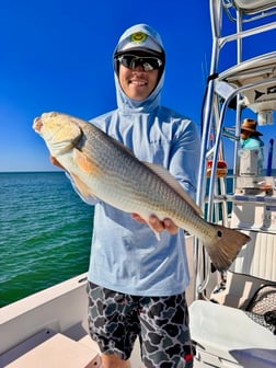 Fishing in Sarasota, Florida