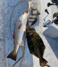 Black Drum, Flounder, Redfish, Speckled Trout Fishing in Ingleside, Texas