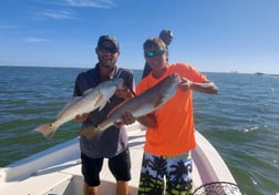 Redfish Fishing in Crystal River, Florida