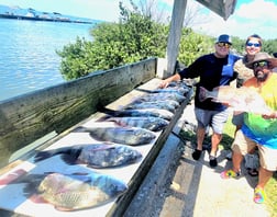 Black Drum fishing in South Padre Island, Texas