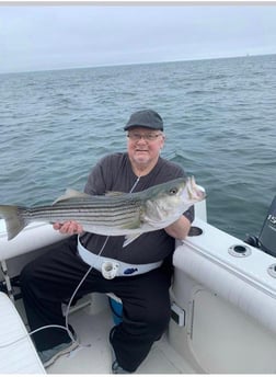 Striped Bass Fishing in Dennis, Massachusetts