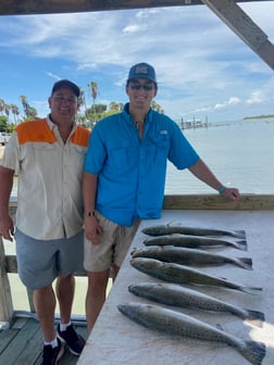 Speckled Trout Fishing in Ingleside, Texas