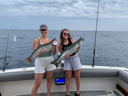 Atlantic Salmon fishing in St. Joseph, Michigan