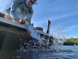 Tarpon Fishing in Jupiter, Florida