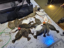 Flounder Fishing in Rio Hondo, Texas