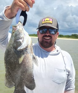 Tripletail fishing in Islamorada, Florida