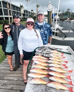 Lane Snapper Fishing in Cape Coral, Florida