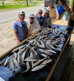 Flounder, Speckled Trout / Spotted Seatrout fishing in Yscloskey, Louisiana