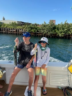 Tarpon fishing in San Juan, Puerto  Rico