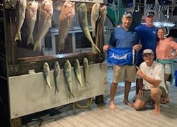 Mahi Mahi / Dorado, Red Grouper Fishing in Destin, Florida