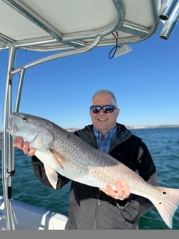 Fishing in Panama City Beach, Florida