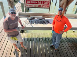 Black Drum Fishing in Houston, Texas