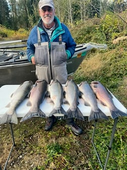 Chinook Salmon Fishing in Toledo, Washington