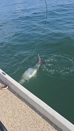 Fishing in Port O'Connor, Texas