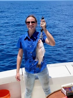 Mangrove Snapper Fishing in Galveston, Texas