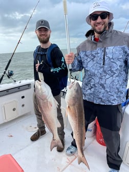 Redfish Fishing in Freeport, Texas