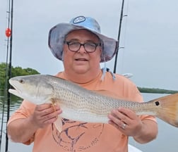 Redfish Fishing in Clearwater, Florida